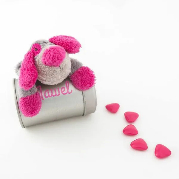 Peluche chien fuchsia gris ​Boulangerie Pâtisserie Pain Levain Viennoiseries