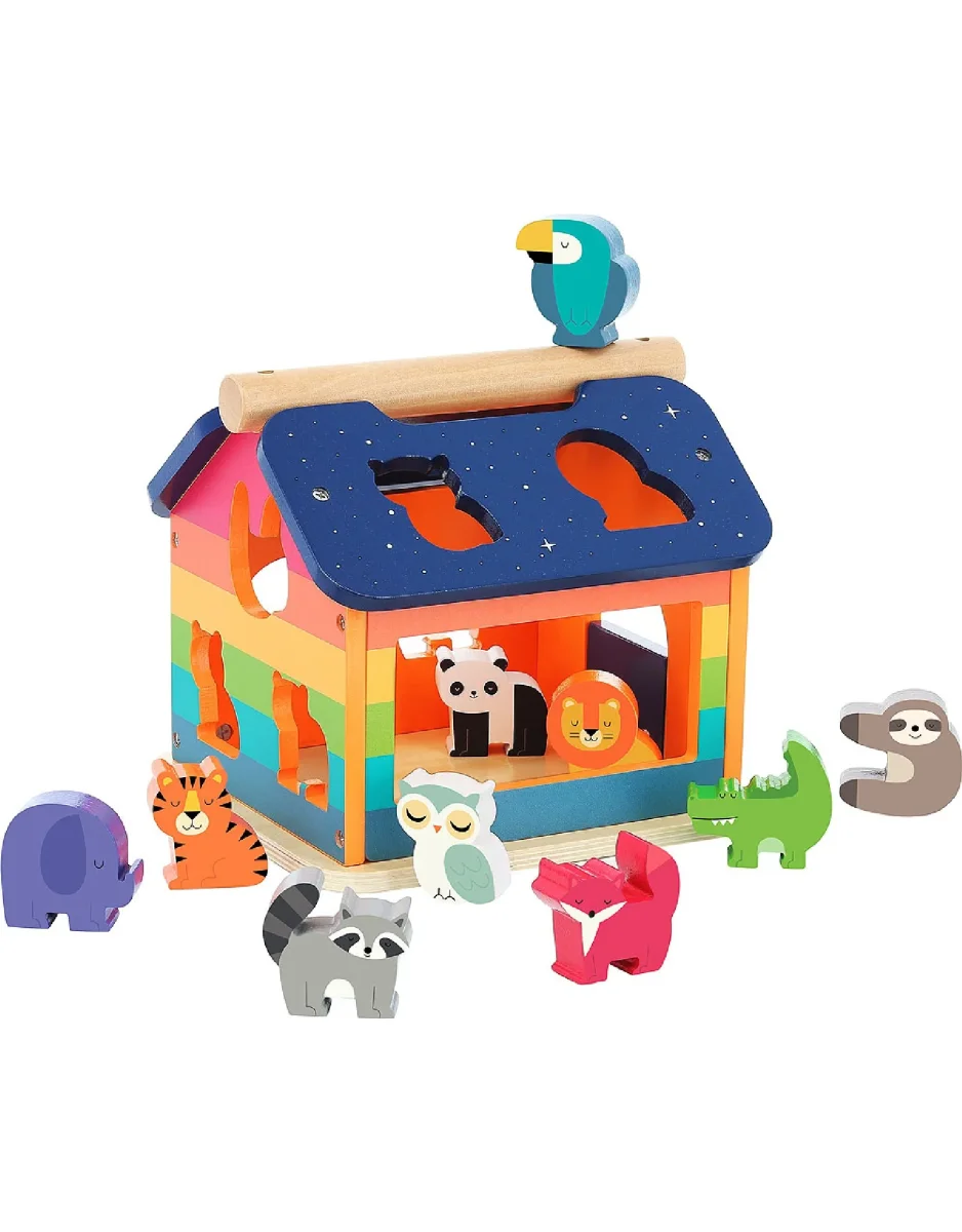 La maison des formes - Arc-en-ciel - Vilac - Boutique Maman & Bébé – Produits Essentiels au Quotidien - {'count': 1, 'name': 'Sonore'}