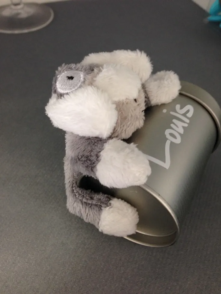 Peluche aimanté chien dragées baptême - ​Boulangerie-Pâtisserie | Pain au Levain & Viennoiseries​ Peluche Pain Cuit à la Vapeur – Doux, Moelleux, et en Plusieurs Tailles –  Plushie Produce