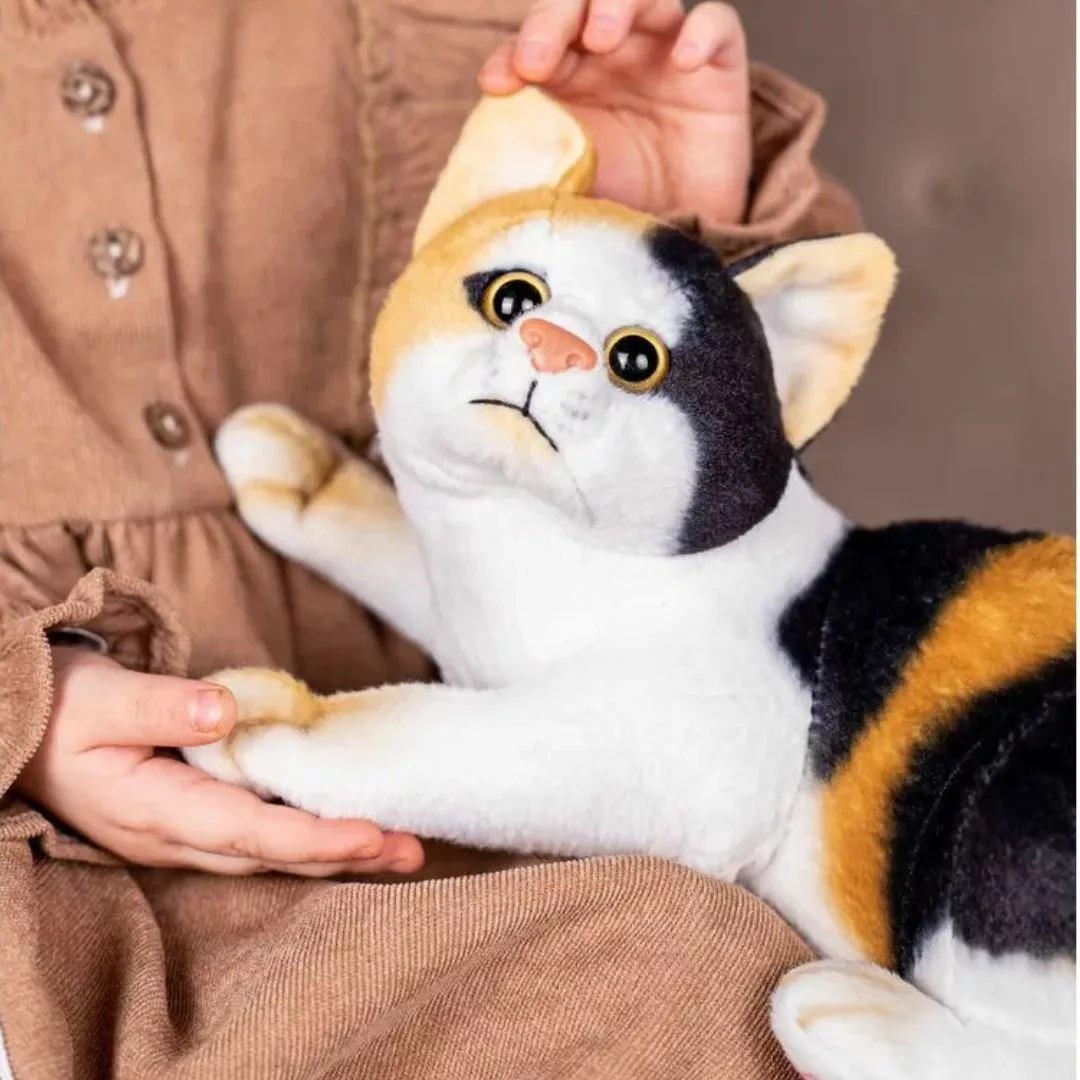 Chaton en peluche – Ultra doux et réaliste pour enfants enfants et bébés – Compagnon câlin apaisant - Éclairage de qualité avec frais de port offerts