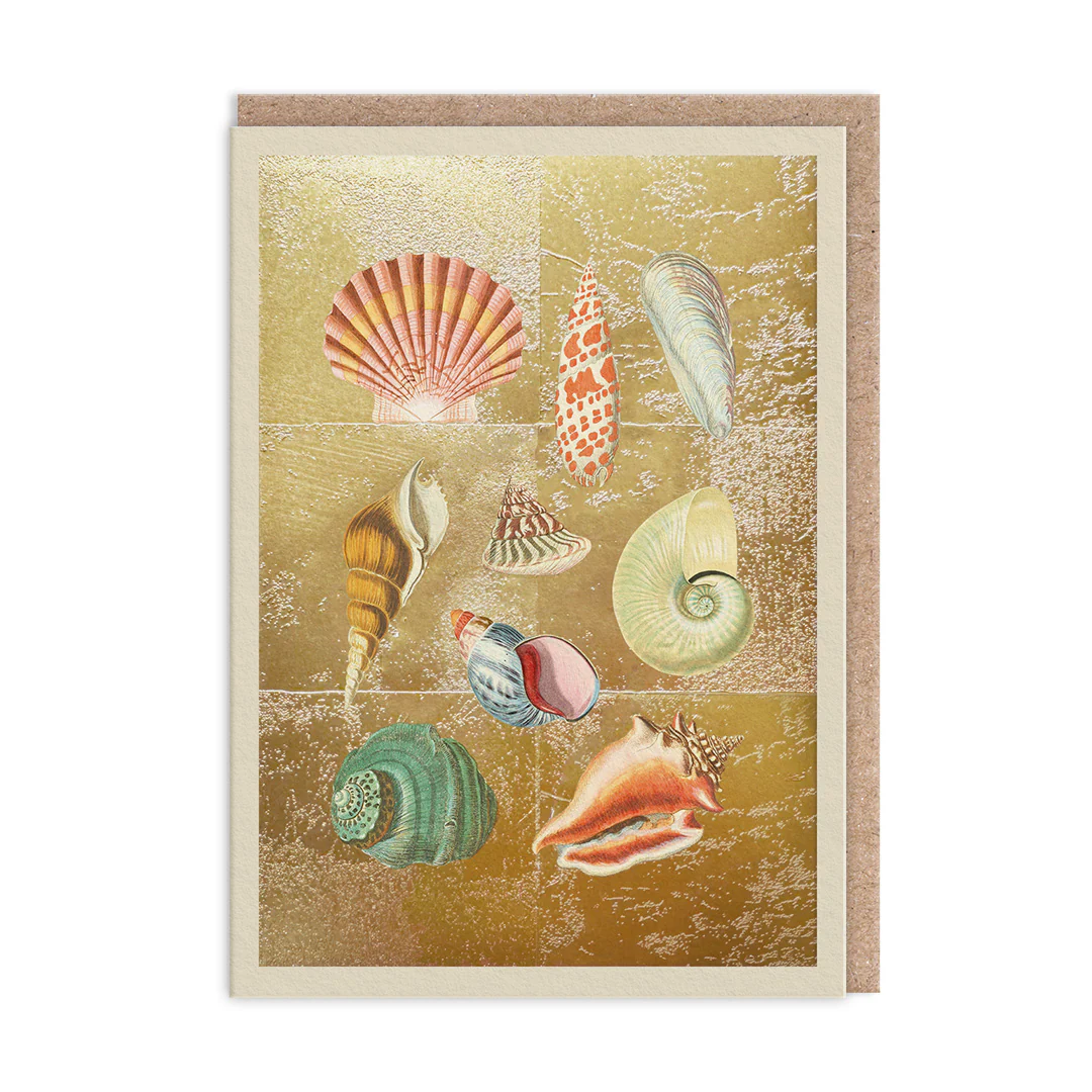 Carte Gold – Collection de Coquillages - Organisation de la maison avec des solutions de rangement - {'count': 4, 'name': 'boîte'}