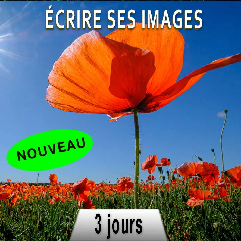 Écrire photos ​Drones Professionnels Grand Public Boutique Française