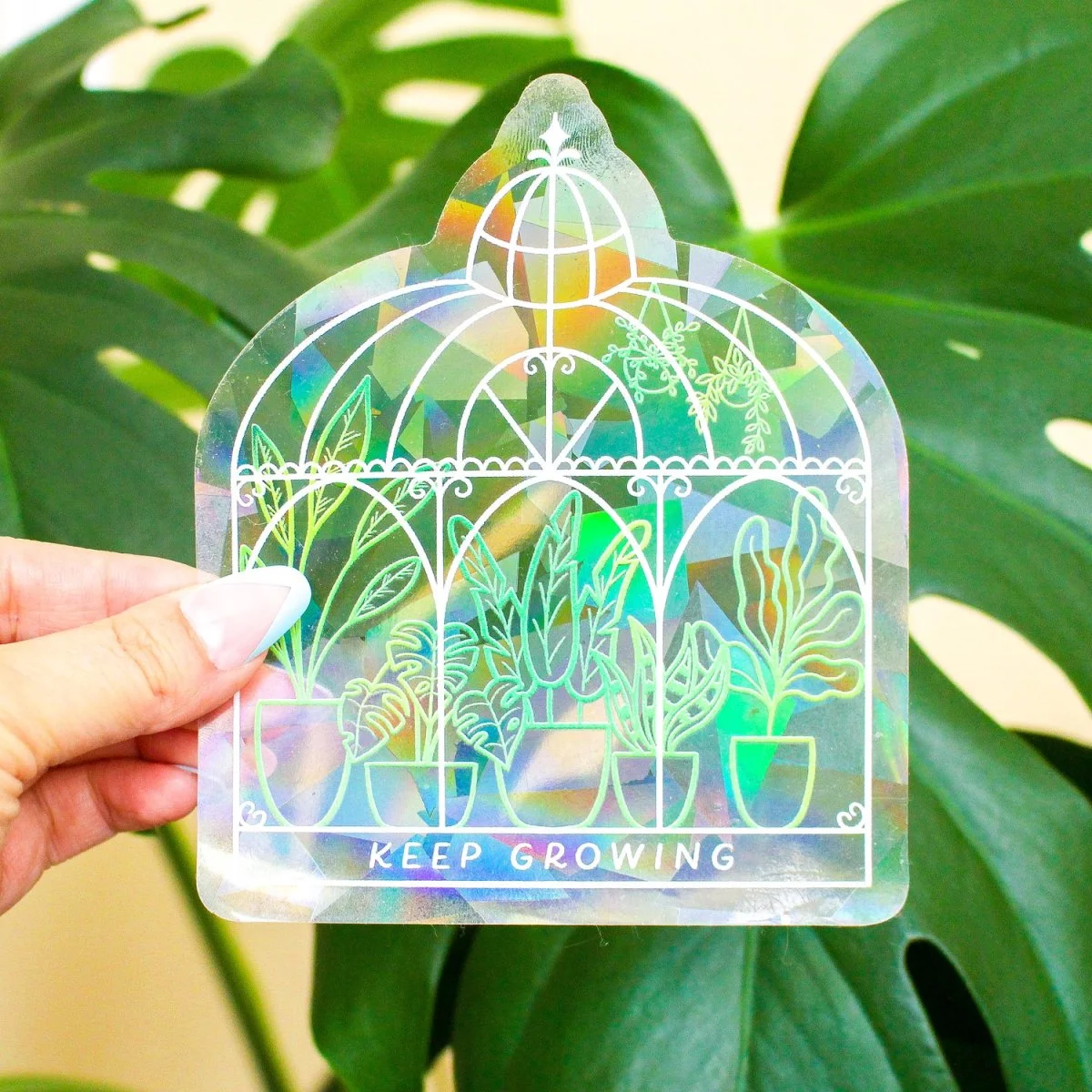 Sun Wallsauce Catcher / Rainbow Maker « Keep Growing » - Organisation de la maison avec des solutions de rangement
