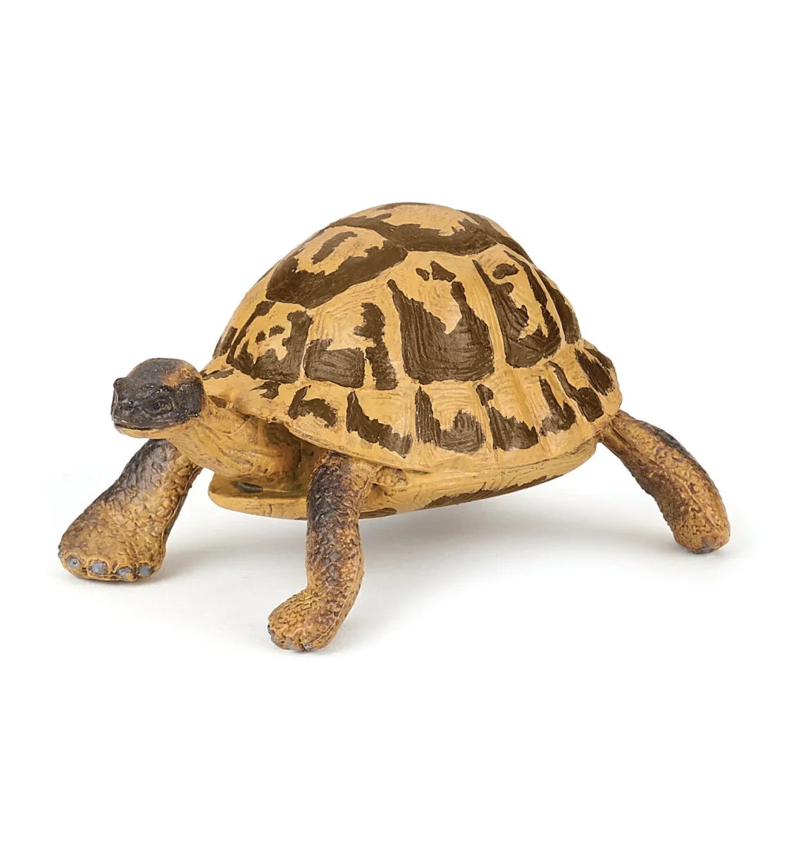 FIGURINE TORTUE D’HERMANN - Boutique Maman & Bébé – Produits Essentiels au Quotidien Bébé Hippopotame - Statues, figurines et animaux exotiques en résine.
