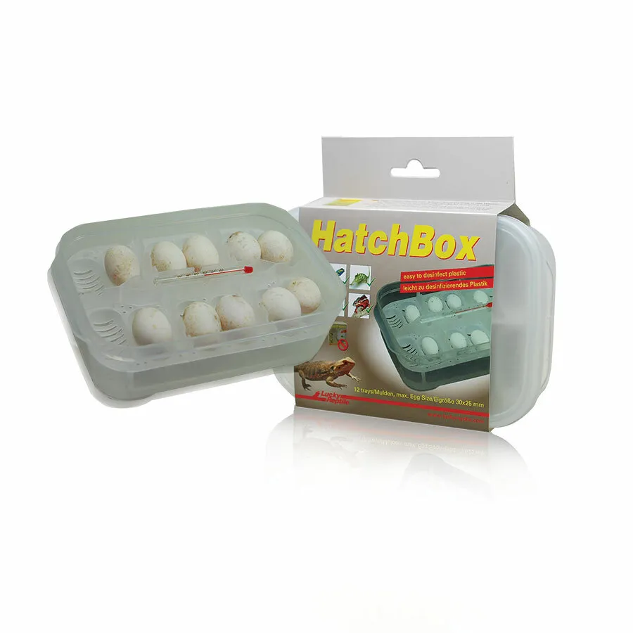 HATCH BOX - Saldi Straordinari – Offerte Speciali baby Disponibili Adesso