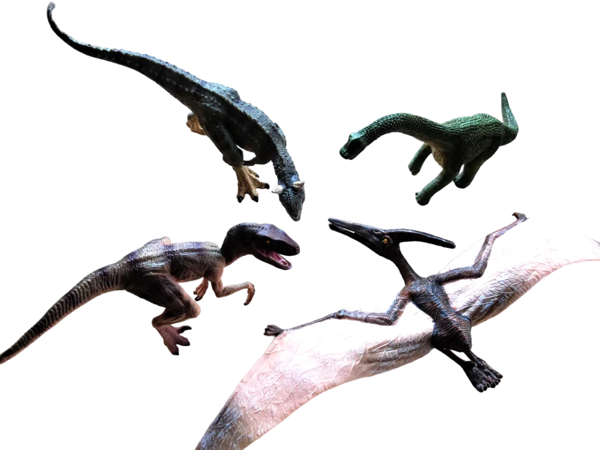PACK MONTESSORI - FIGURINES DINOSAURES - Boutique Maman & Bébé – Produits Essentiels Personnage au Quotidien