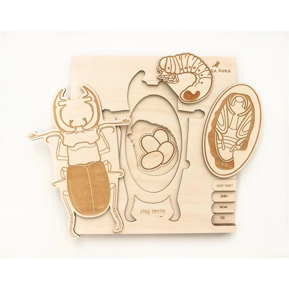 Stuka Puka - Casse-Tête en pieuvre Bois - Cycle de vie du Scarabée||Stuka Puka - Stag Beetle Life Cycle - Wooden Puzzle - Boutique Bébé en Ligne : Soins, Jouets et Articles Maison