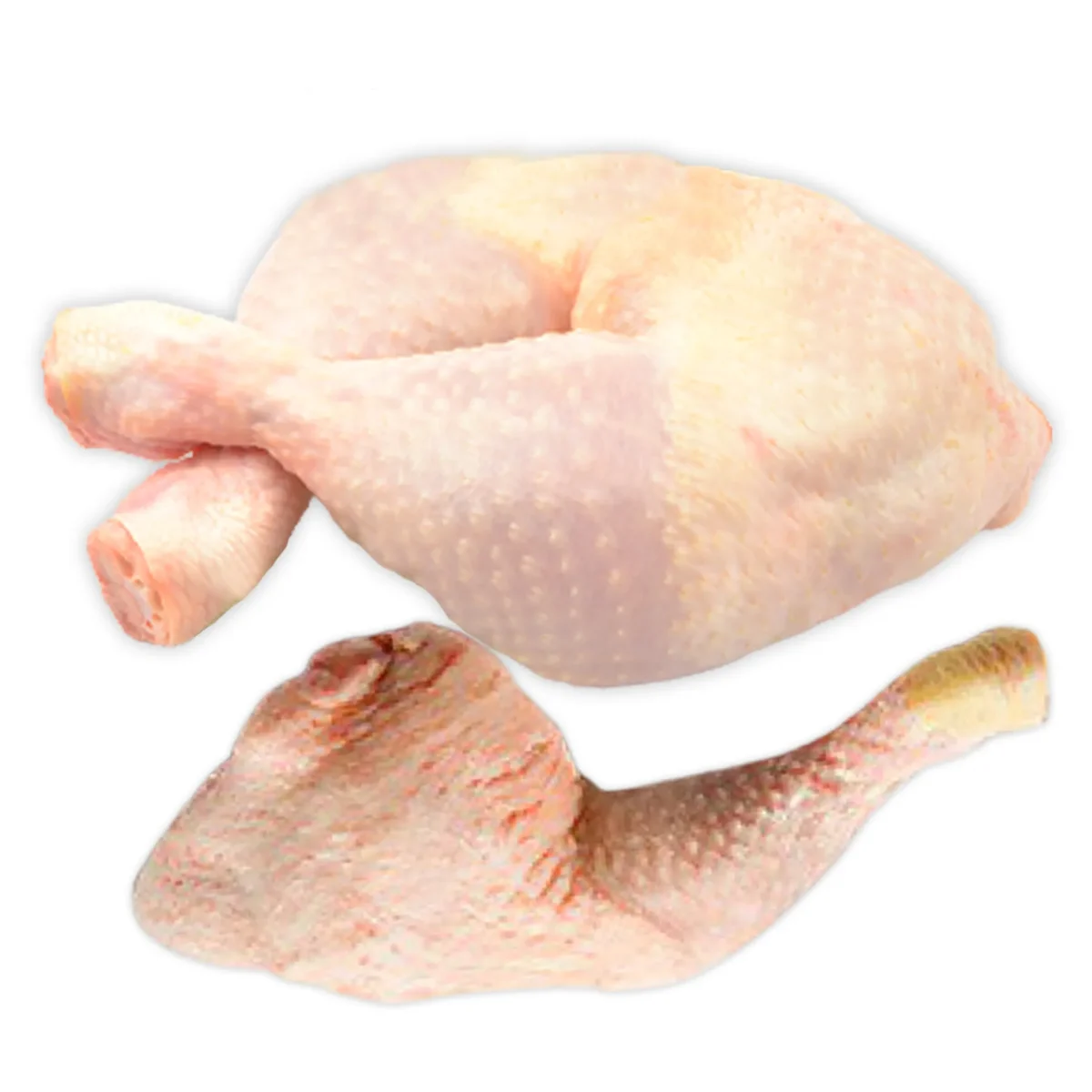Cuisses Poulet ​Drones Professionnels Grand Public Boutique Française