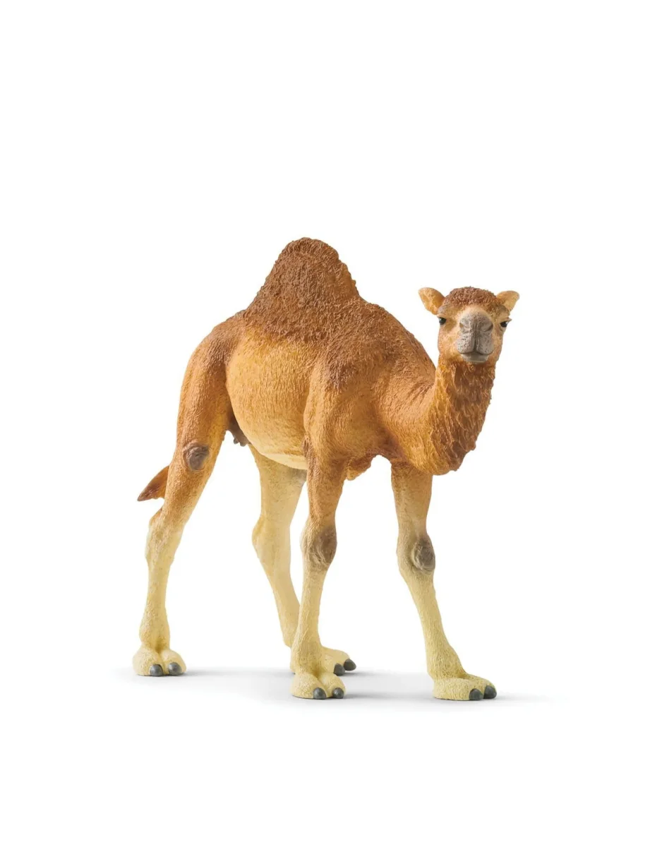 Figurine - Dromadaire - Schleich - Boutique Maman & Bébé – Produits Essentiels au Quotidien Hansa - Peluche bébé dromadaire 21 cm, Livraison Gratuite 24/48h