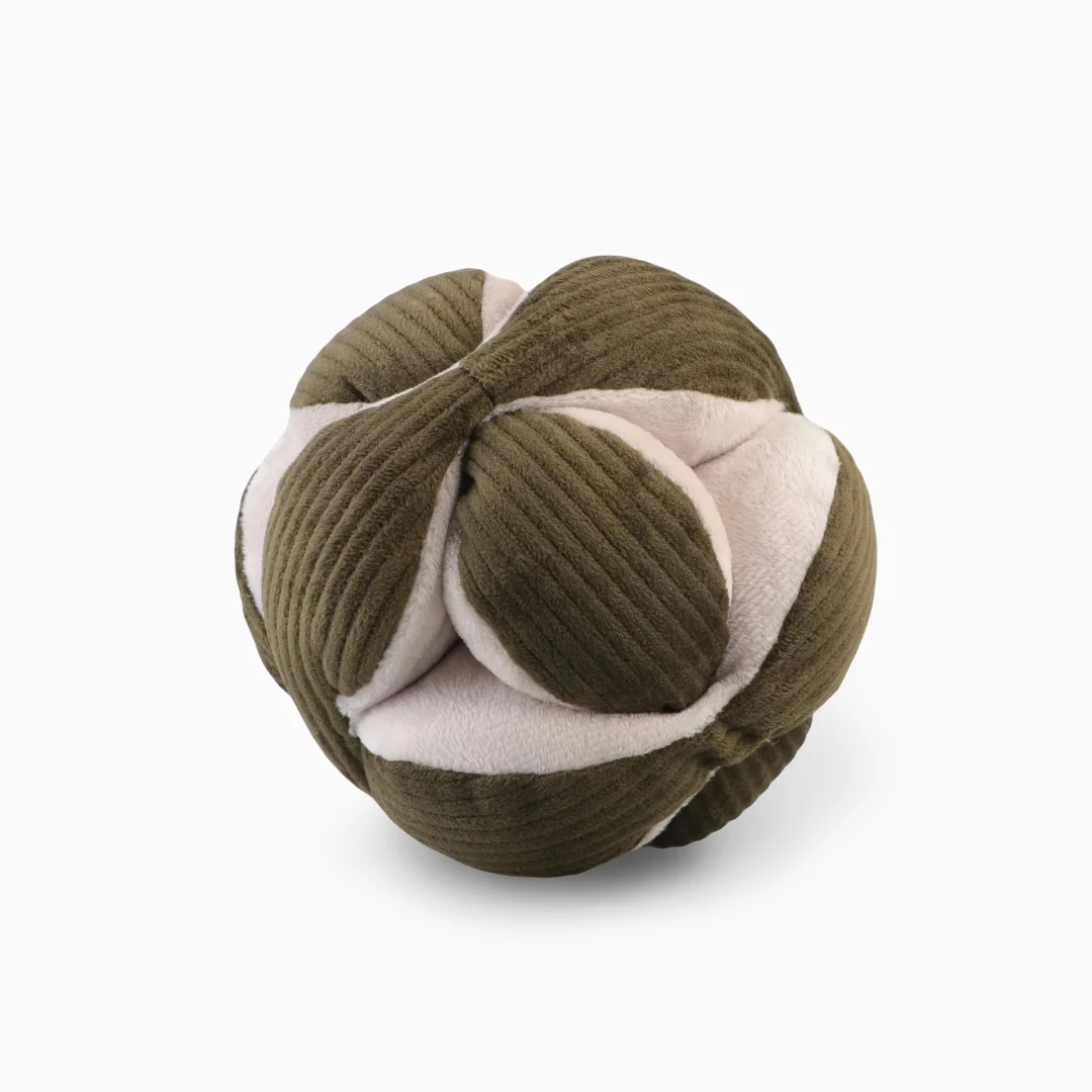 Jouet de fouille Monti - Pin - Saldi Straordinari – Offerte Speciali Disponibili Adesso Les différents types de fouilles ✅️⁉️