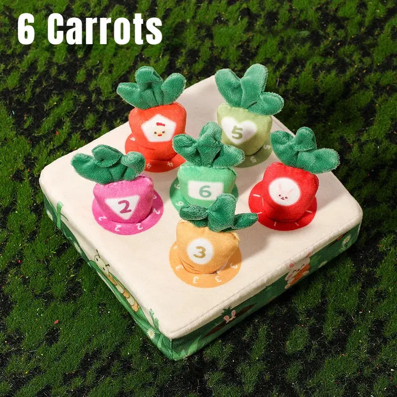 Jouet bebe - Jeu carotte Montessori - Jouet pour bébé - Boutique Bébé en Ligne : Soins, Jouets et Articles Maison - Dentition