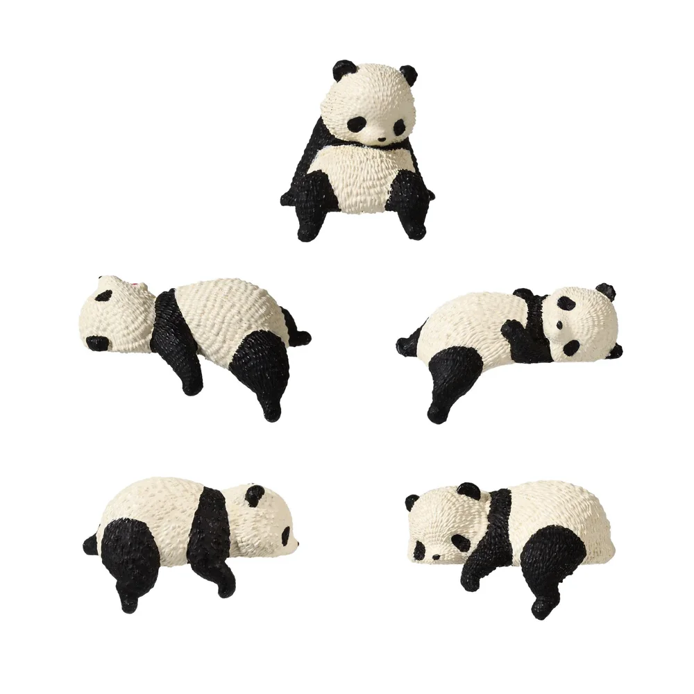 Blind Box Lazy Pandas - Organisation de la maison avec des solutions de rangement Petit espace : nos astuces de rangement pour toute la maison